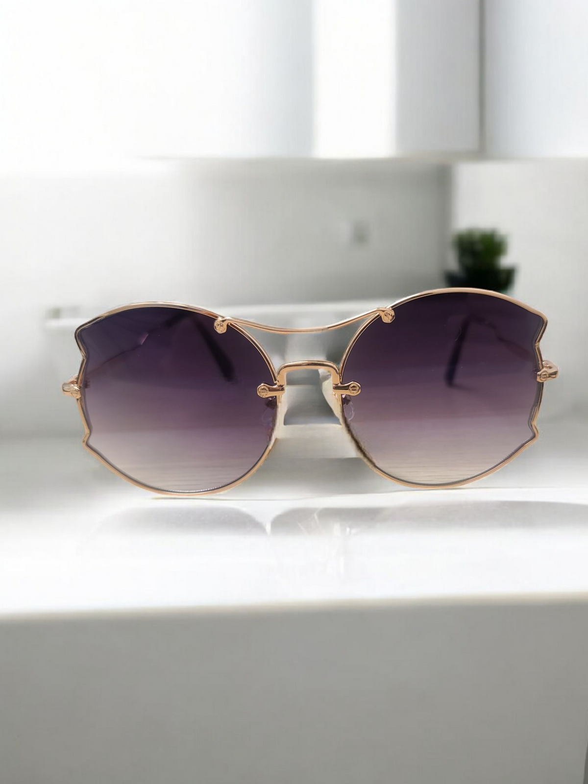 Carrera Sunglasses