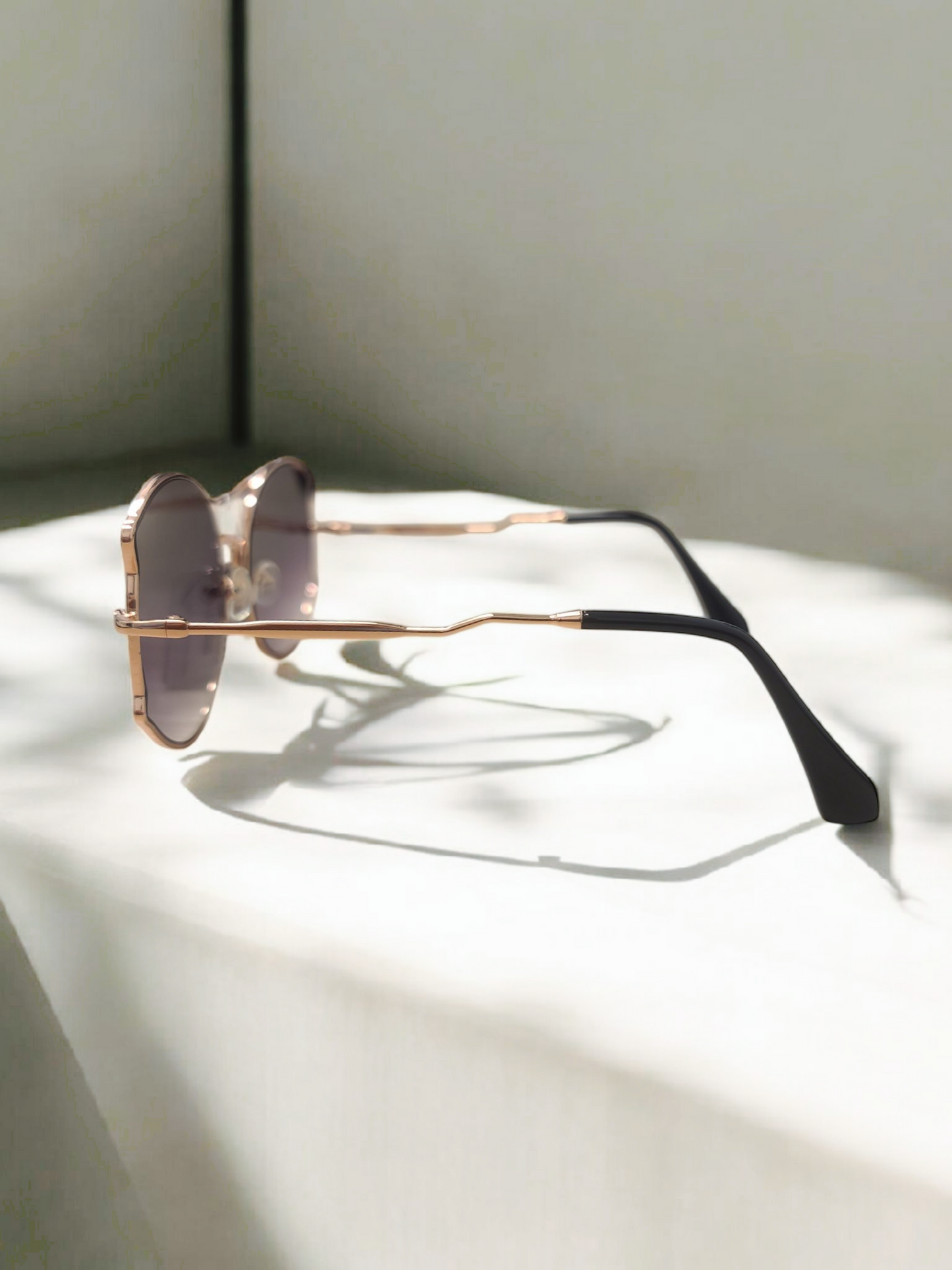 Carrera Sunglasses